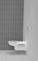 Wall hung Doc M ware set, pan & cistern assembly, ring only seat, White (RAL 9016)