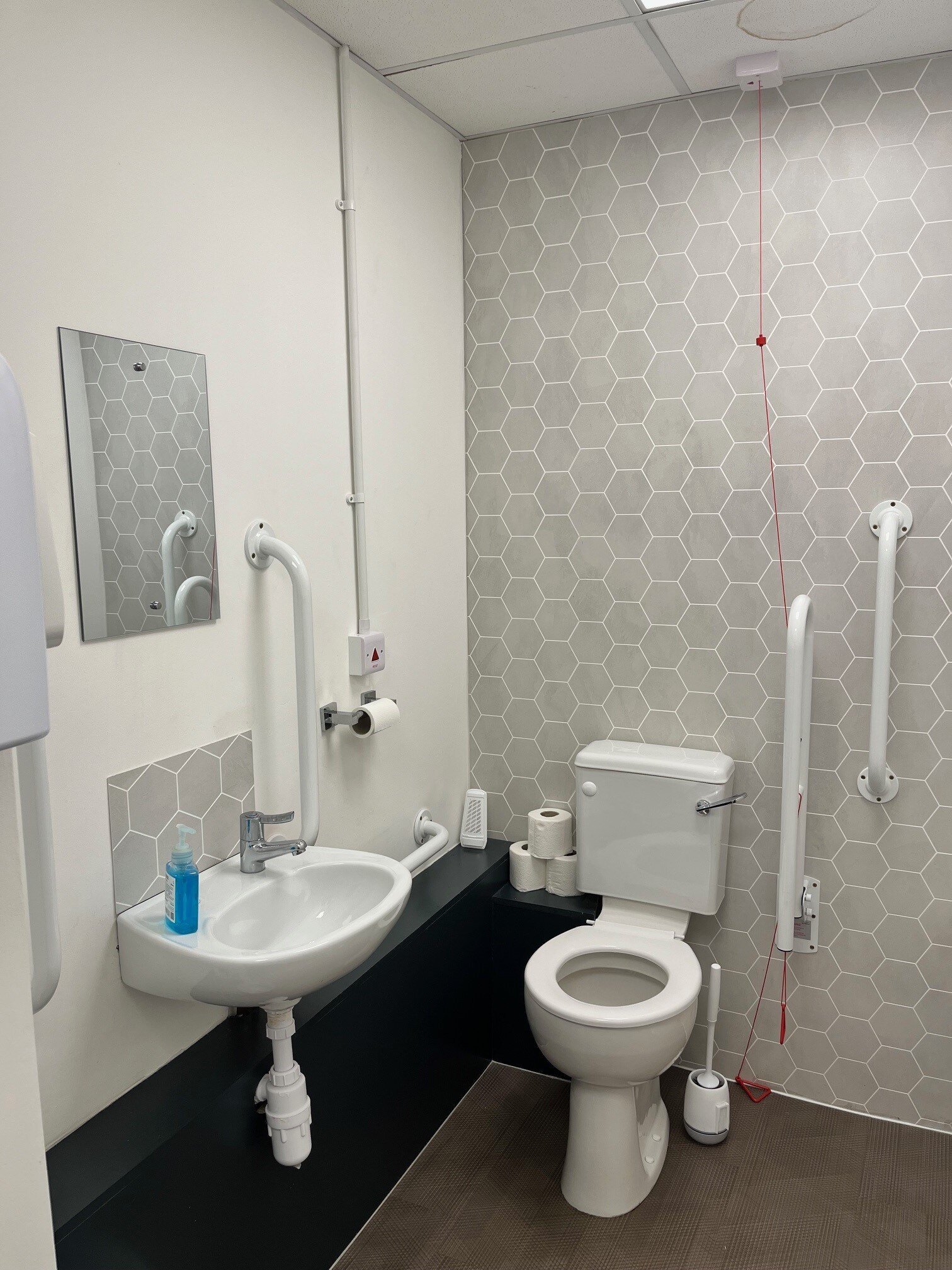 Grey and white diabled toilet with matt white hinged support rail and vertical grab rails next to toilet and wash basin.