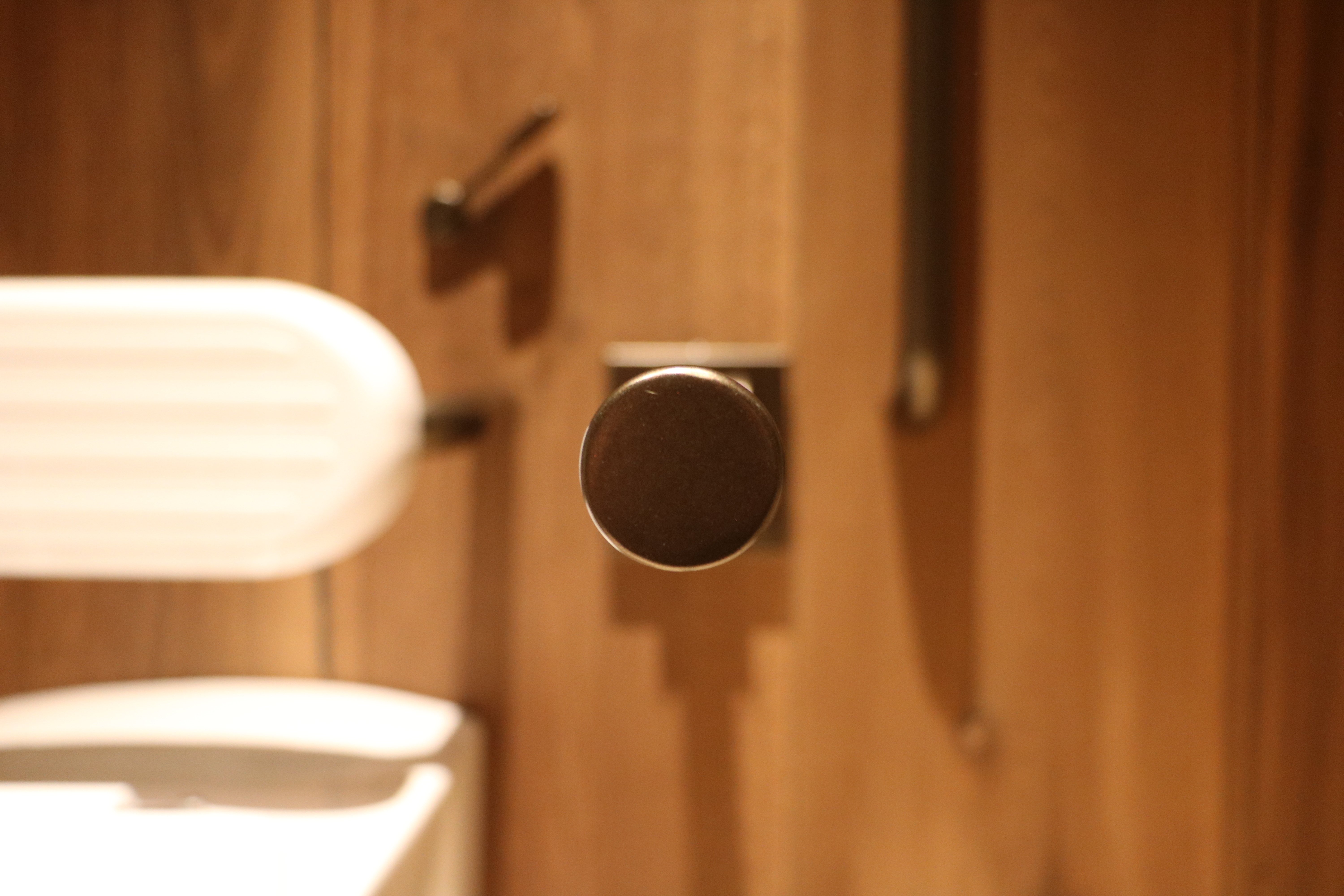 Very close up photo of a white back rest above a toilet, with a solid brass hinged support rail to the right of the back rest